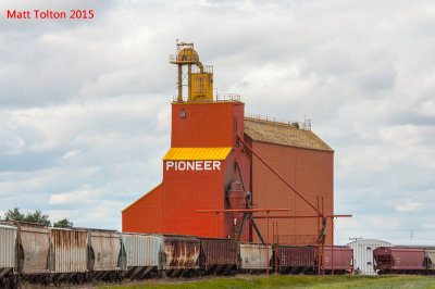 Coronach - August 2015