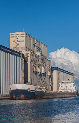 Algoma Central Marine