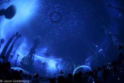 JAG-bubble-17.jpg