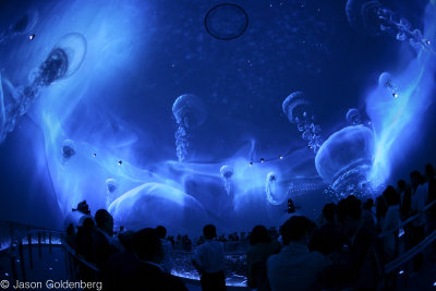 JAG-bubble-18.jpg