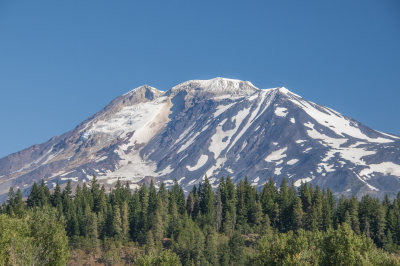 Mt Adams at Elk Meadows