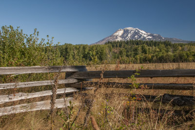 Mt Adams & Elk Meadow fence