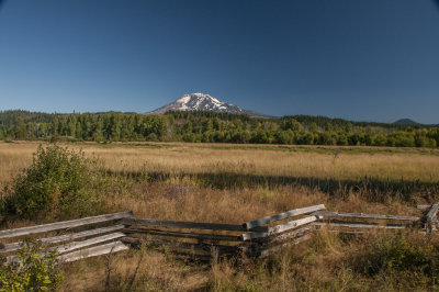 Mt Adams & Elk Meadow