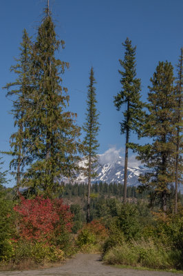 Mt Adams