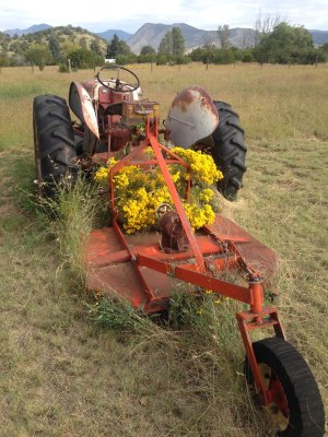 Archie's Tractor