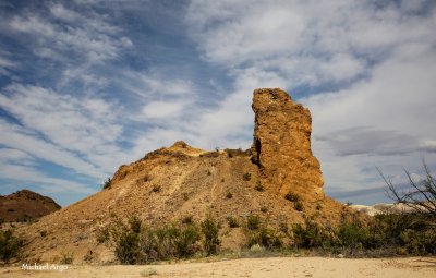 Chihuahuan  Desert 6.jpg