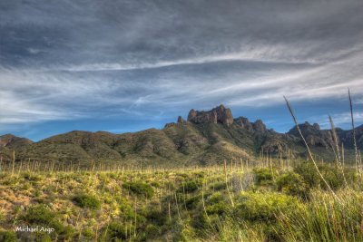 Chihuahuan Desert.jpg