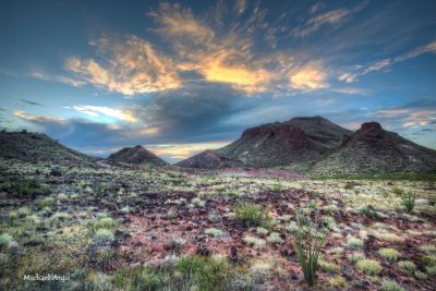 Chihuahuan Desert 4.jpg