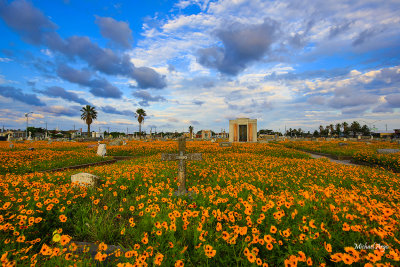 Old Galveston Cemetery 