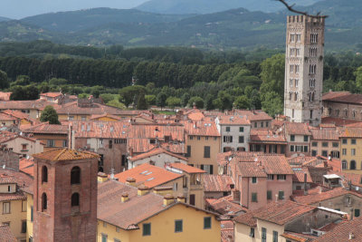 Roof Tops Lucca
