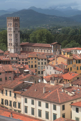 Hills around Lucca