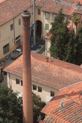 Lucca's rooftops