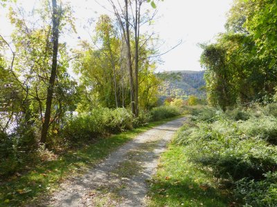 Path en route to train station