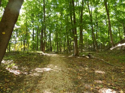 Trail at WPFP