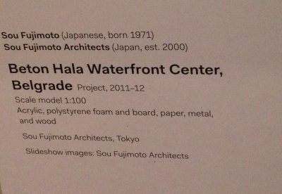 Sou Fujimoto Architects.jpg