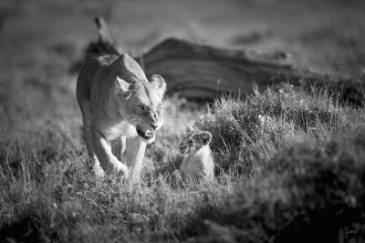 kenya noir et blanc