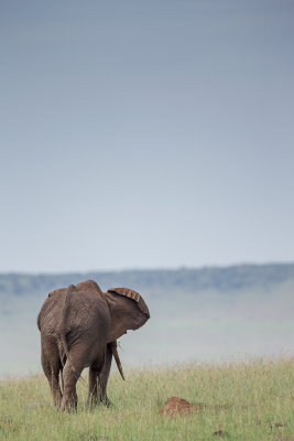 Kenya2015 (139).jpg