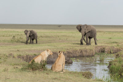 Kenya2015 (198).jpg