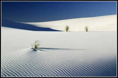 Sand Dunes Abstract