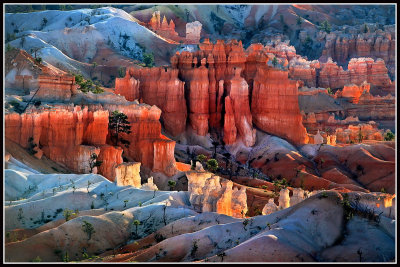 Hoodoos in Bryce Canyon