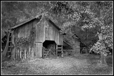 Barn and Outbuilding