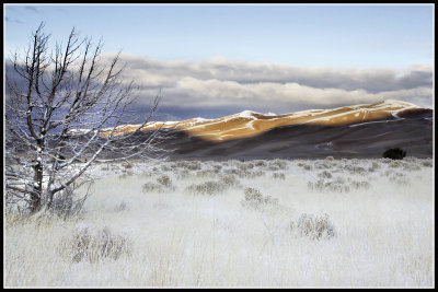 Snowy Dunes