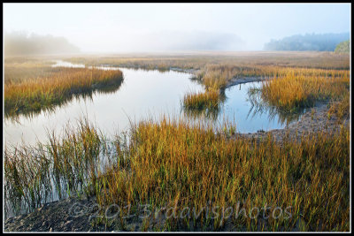 Georgia Coastal Marsh