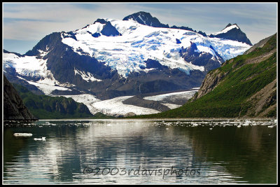 Glaciers and Fjord