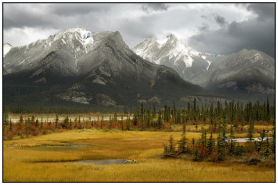 Canadian Rockies