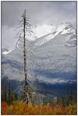 Canadian Rockies