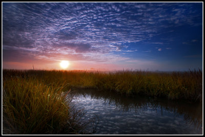 Coastal Marsh Sunrise