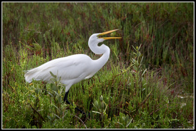 g9/30/982030/3/154904049.CirDUUnU.jpg