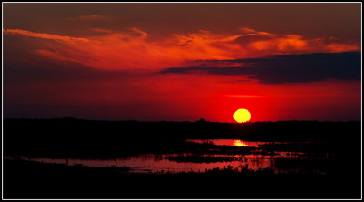 Florida Sunset