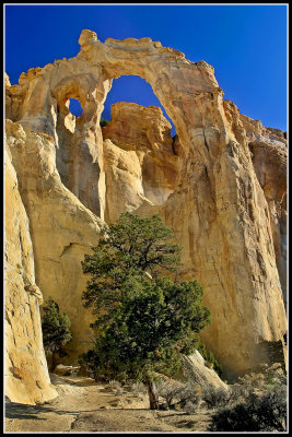 Grosvenor Arch