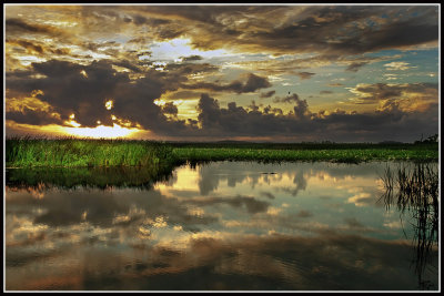 Wetlands Sunrise, South Carolina