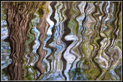Reflections Abstract