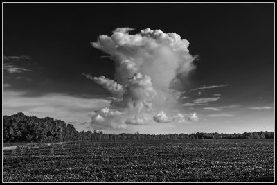 Cumulus Cloud, Peanut Field