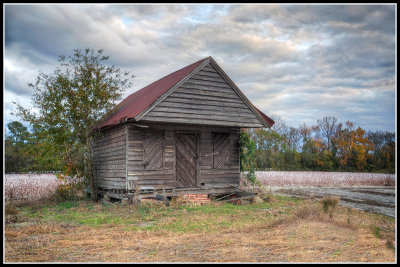 Abandoned Store, Effingham County, Ga