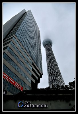 jp56.jpg