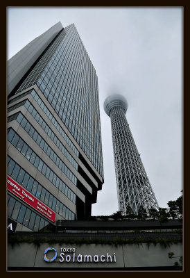 TOKYO.SKYTREE.jpg