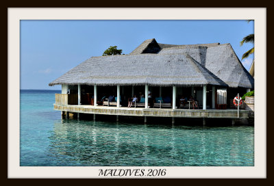 MALDIVES.1.jpg