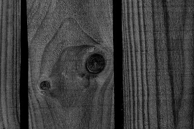 DSCF9944pshbw.jpg