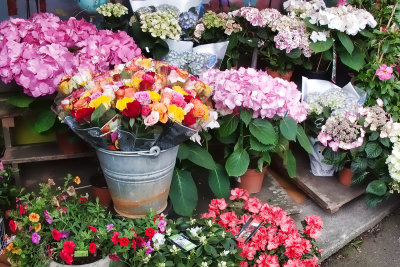 Flower shop in Auvers-sur-Oise