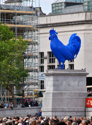 Blue Rooster at Trafalgar Square 