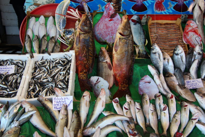 istambul080.JPG