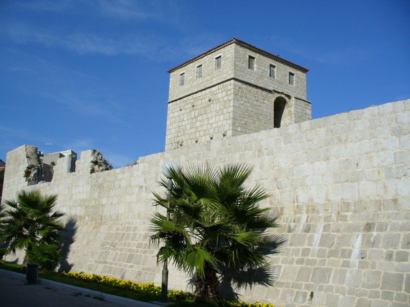 P1010862.JPG