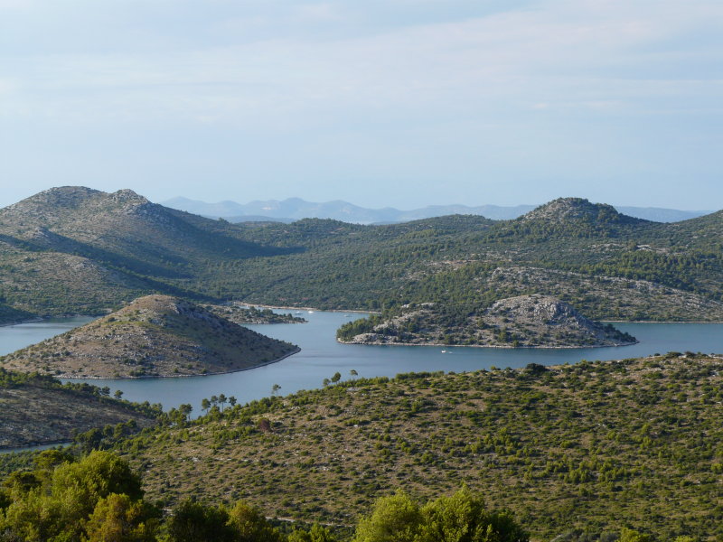 P1020055.JPG