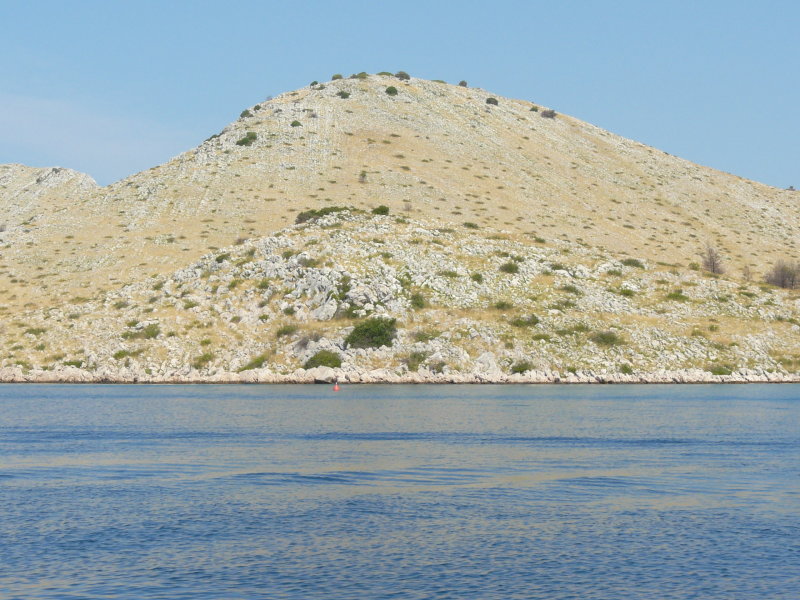 P1020084.JPG