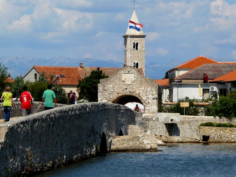 P1020432m.jpg