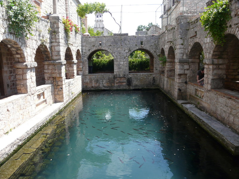 P1060426.JPG